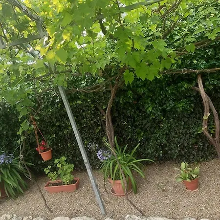 Aleksa Πανσιόν *