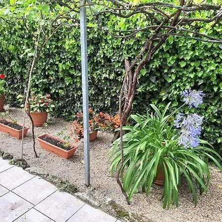 Aleksa Apartman * Lesencetomaj